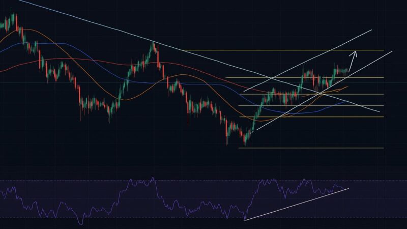 Cómo realizar un análisis técnico de criptomonedas para anticipar movimientos de precios
